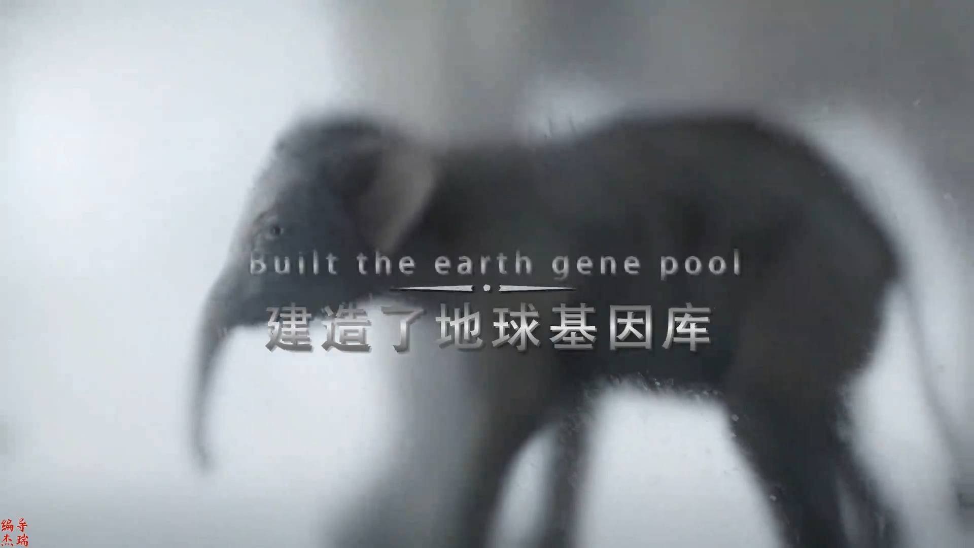 编导杰瑞地球DNA声光电开场