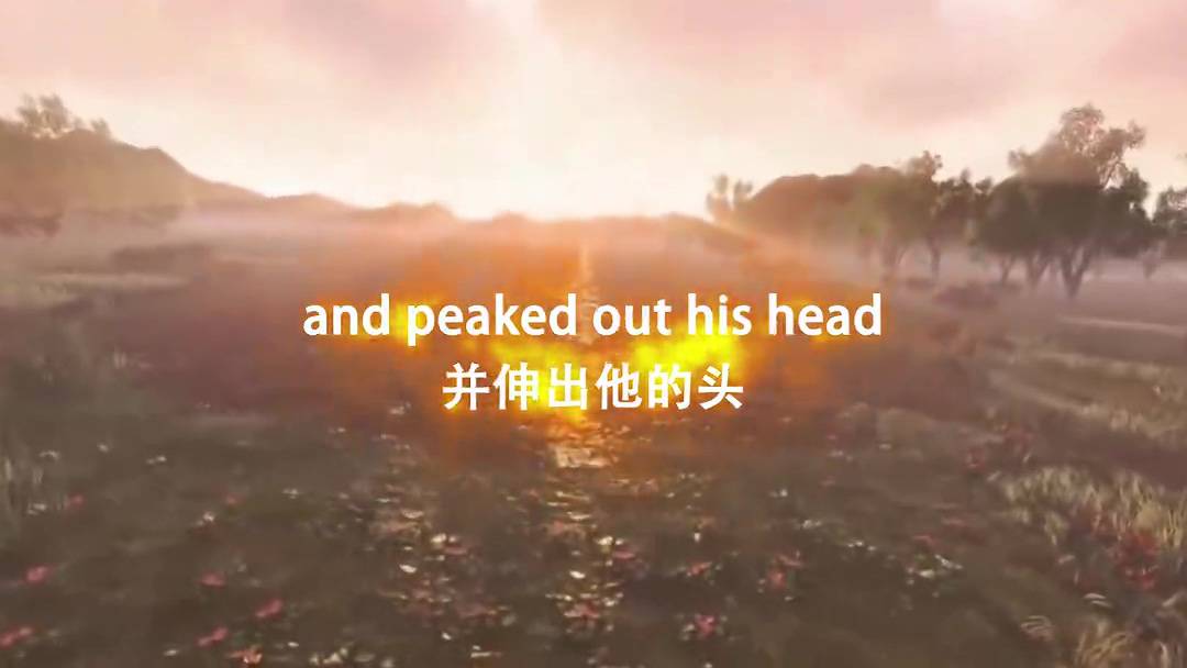 狮子故事开场-声光电