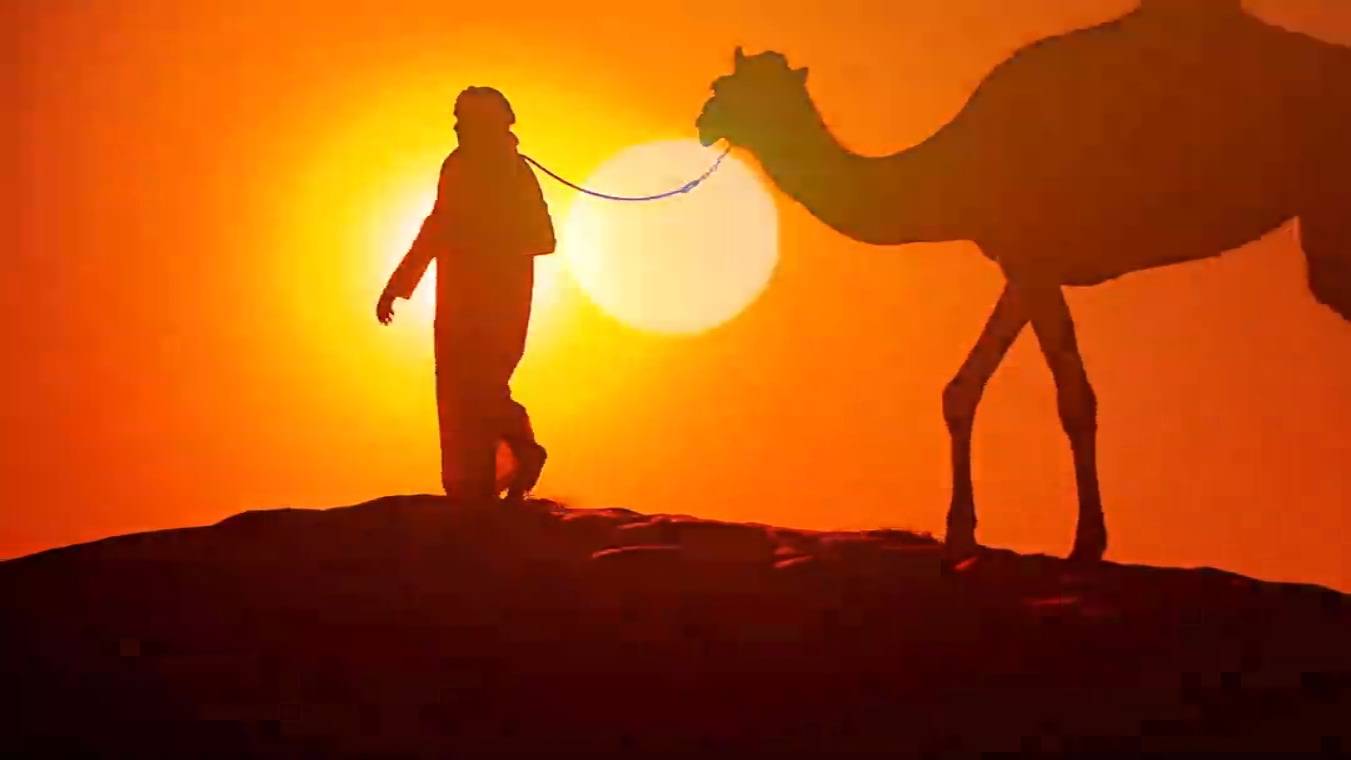 菲比2声光电 婷婷开场完美版