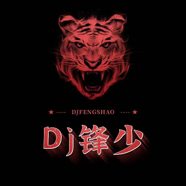廉江DJ锋少