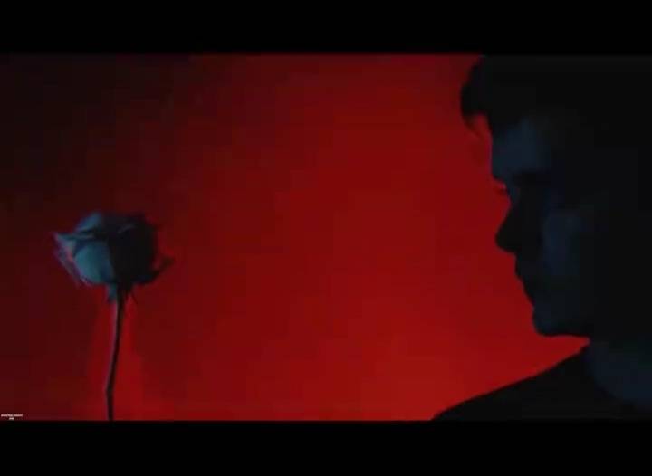 520情人节七夕玫瑰花声光电开场