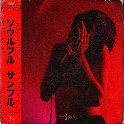 阿珍爱上了阿强（DJ VIK Bootleg）[Monster Team]