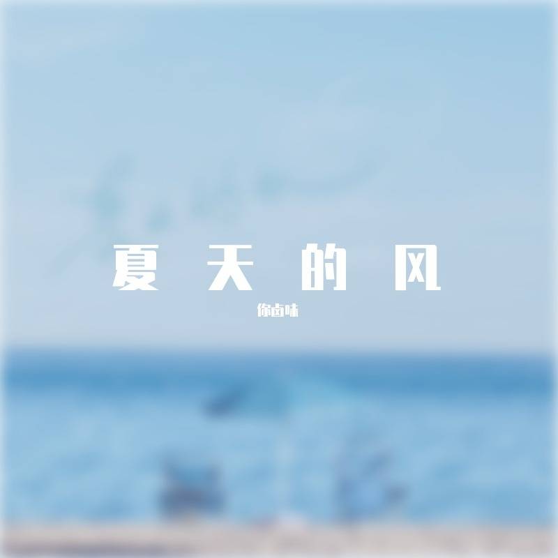 夏天的风（你卤味-Leo Hard Bootelg）