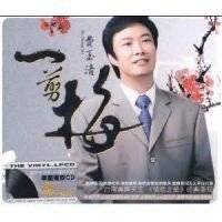 费玉清-一剪梅(SMT DjEi锋 Electro Mix国语男)132