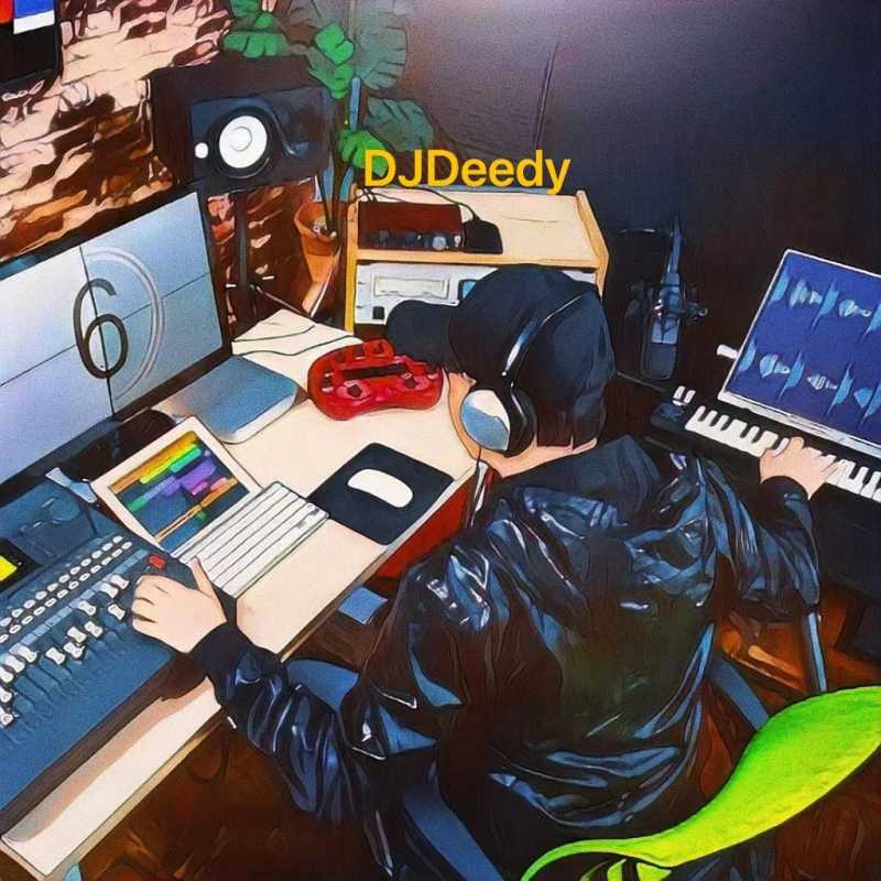 李巍V仔 - 守护着我的光 (DJ Deedy Bootleg MiX)