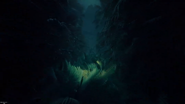 丛林部落血脉声光电开场