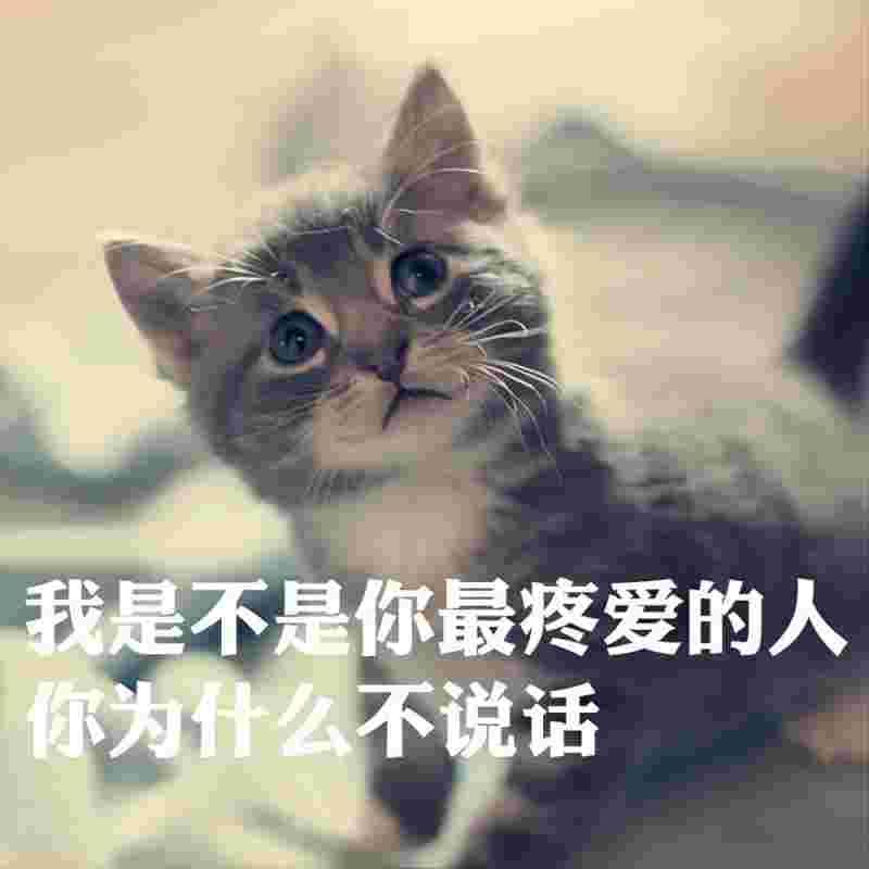 我是不是你疼爱的人（laughingBootleg）