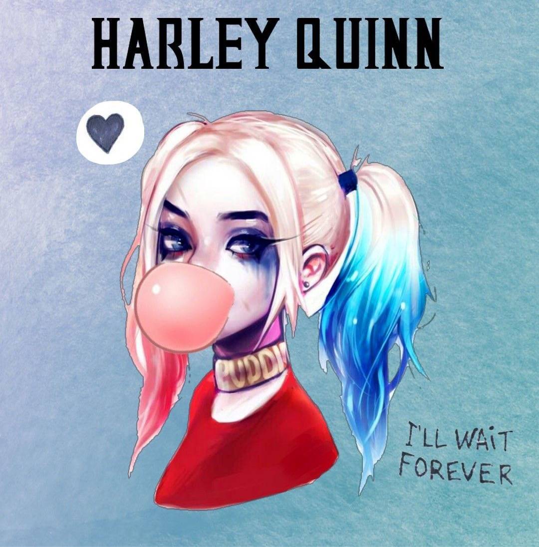 C.Y.S.Megamix.音乐串烧(2005).VOL.24(POP club house)