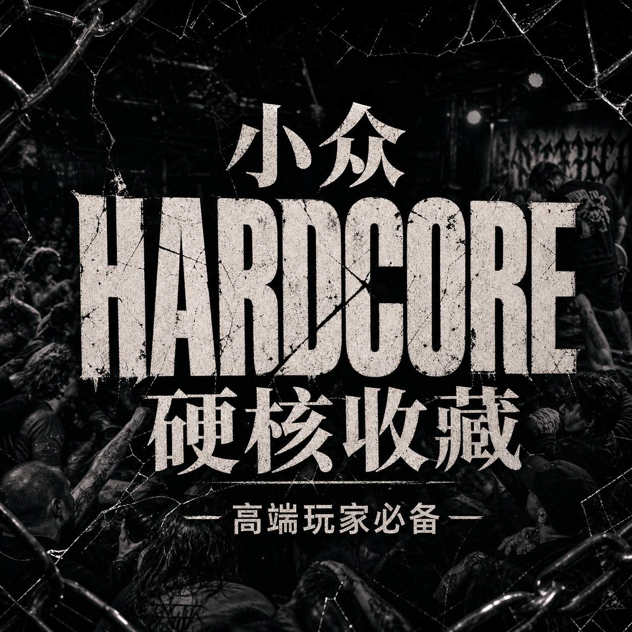 小众 Hardcore 硬核收藏 高端玩家必备