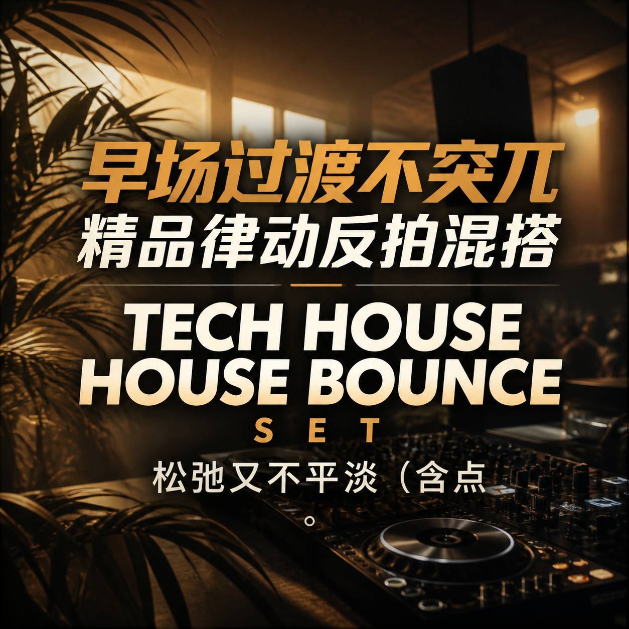 早场过渡不突兀 精品律动反拍混搭TECH HOUSE HOUSE BOUNCE SET 松弛又不平淡 (含点位图)